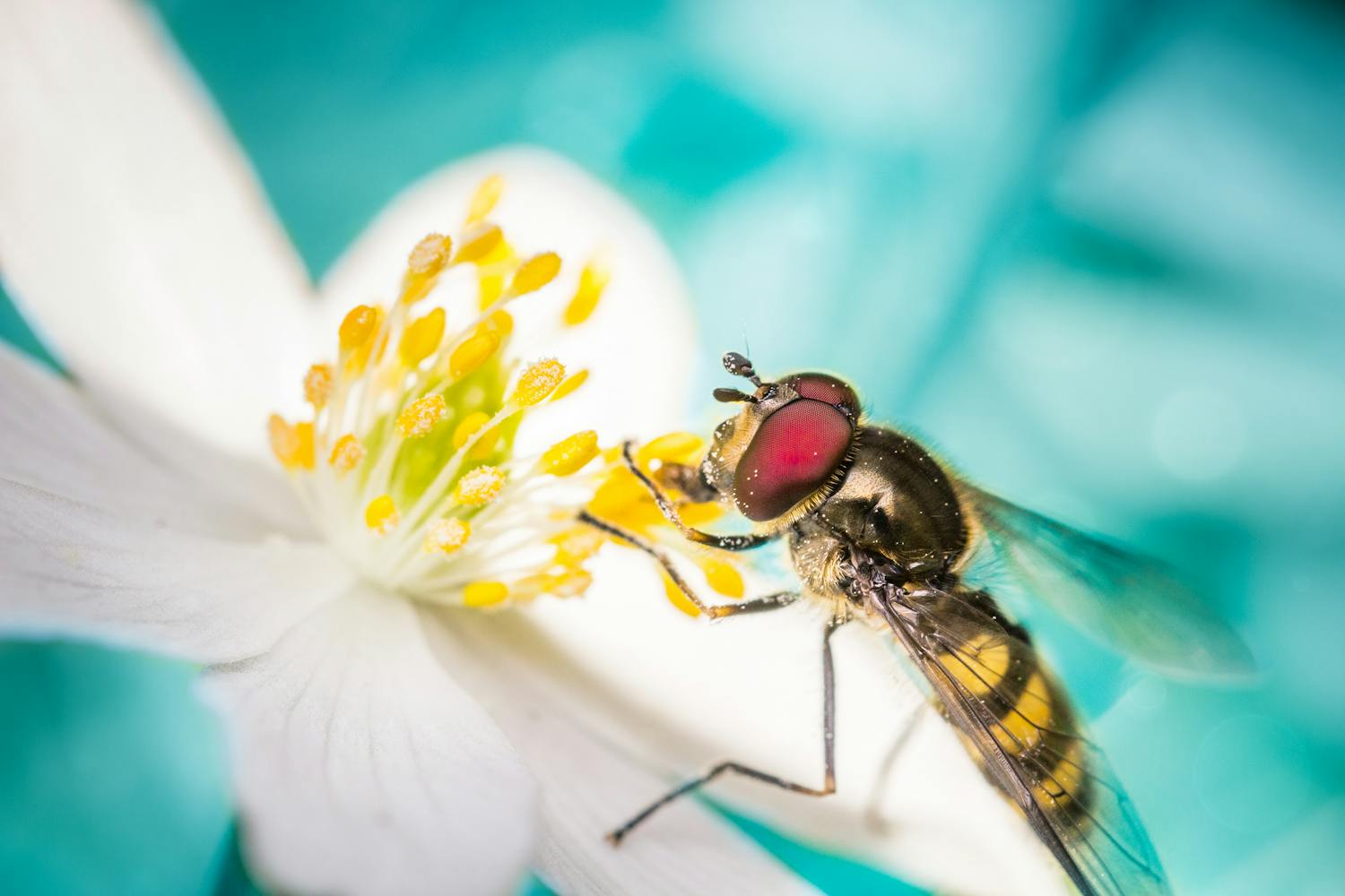 Årets fotokonkurrencer